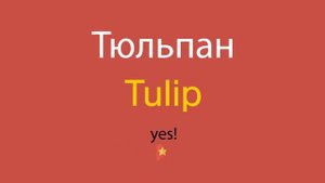 Тюльпан по-английски