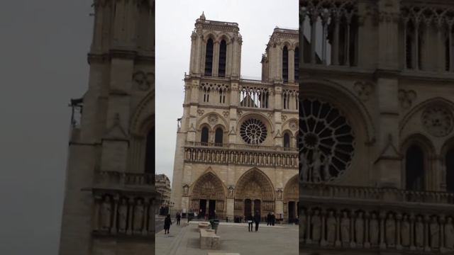 Notre Dame Cathedral Bells