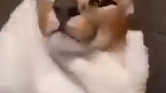 Шлёпа моется смотреть онлайн