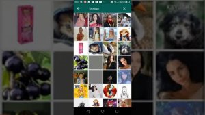 как поставить на группу ватсапа фото