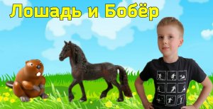 Лошадь и Бобёр. Устюшины сказки.