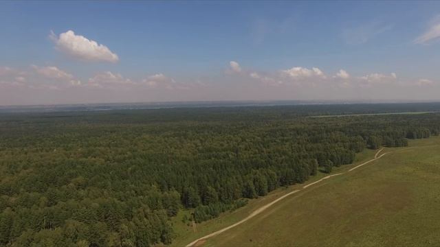 Лес лето Бийск смотреть онлайн