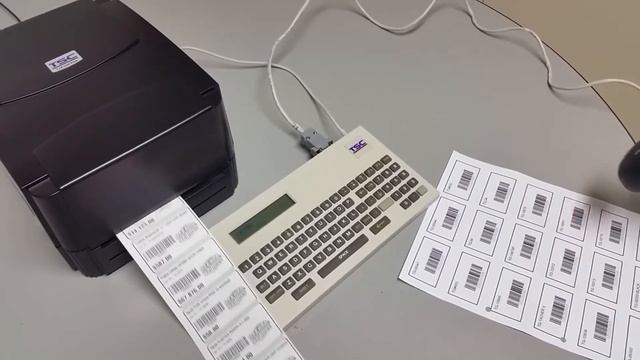 TSC Database APP Standalone