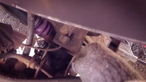 Гусеницы Wheeltracks на Toyota Tundra / Toyota Tundra Wheeltracks 4x4 Tundra