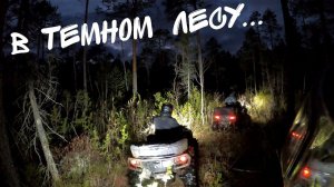 Ищем дорогу в лесу. Покатушка на квадроциклах затянулась...
