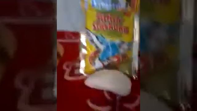 Видео-обзор моих покупок из зоомагазина !!! смотреть онлайн