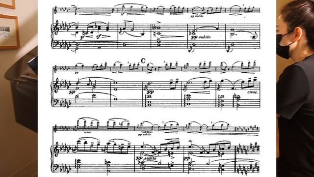 [Piano Accompaniment Ver.1]Gustav Mahler:Symphony No. 5 Adagietto for Violin and Piano 영화 헤어질 결심 OS