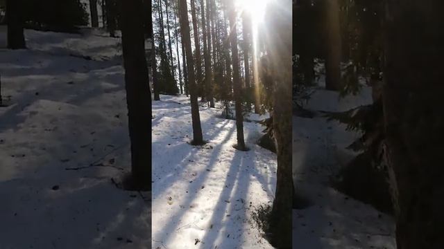 За чагой... смотреть онлайн