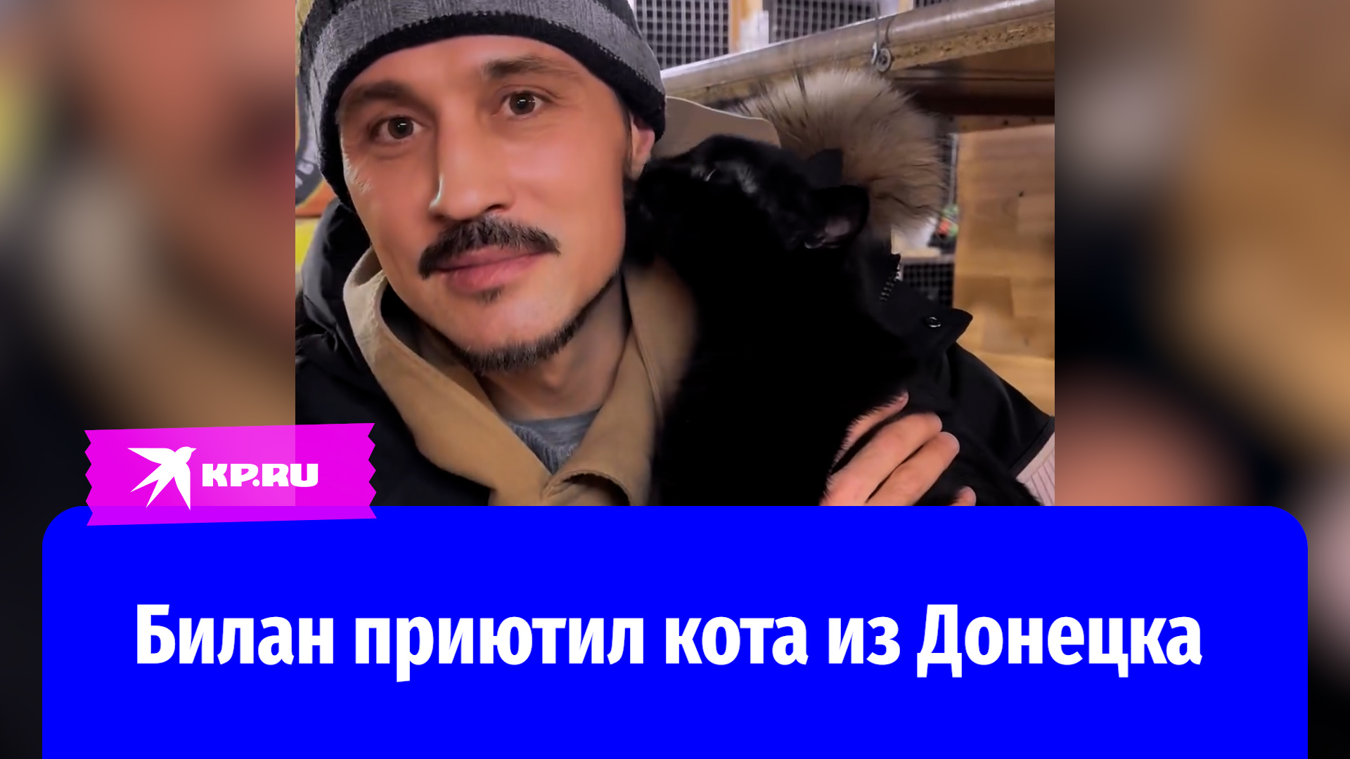 Дима Билан показал, как выбирал кота в донецком приюте