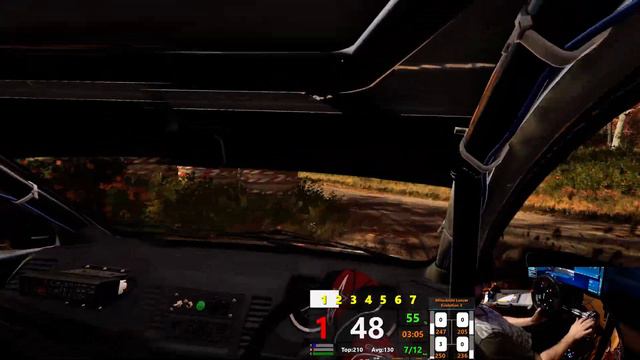 DirtRally 2.0 - VR + Русский Штурман! Катим клубы)