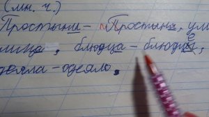 Проверяю рабочие тетради по русскому языку