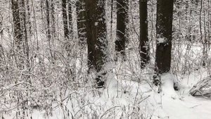 ЕЙ ОЧЕНЬ НРАВИЛИСЬ ТАКИЕ ЭКСПЕРИМЕНТЫ. Поучительные жизненные истории. Интересные аудио рассказы.