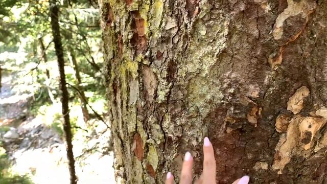 Роза Хутор/ Красная поляна/Родельбан/ Отдых в Сочи 2020 смотреть онлайн