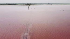 Алтай Яровое Розовое озеро
