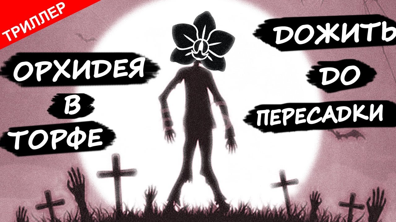 ТРИЛЛЕР Орхидея В Торфе ? Дожить До Пересадки ? Торф для орхидей, уход за орхидеей фаленопсис