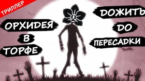 ТРИЛЛЕР Орхидея В Торфе ? Дожить До Пересадки ? Торф для орхидей, уход за орхидеей фаленопсис