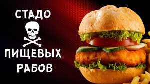 УПРАВЛЕНИЕ СОЗНАНИЕМ ЧЕРЕЗ ПИЩУ, Корректное питание по PHS