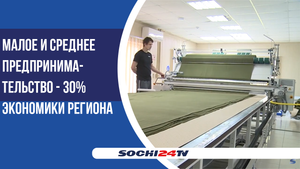 Губернатор и Борис Титов