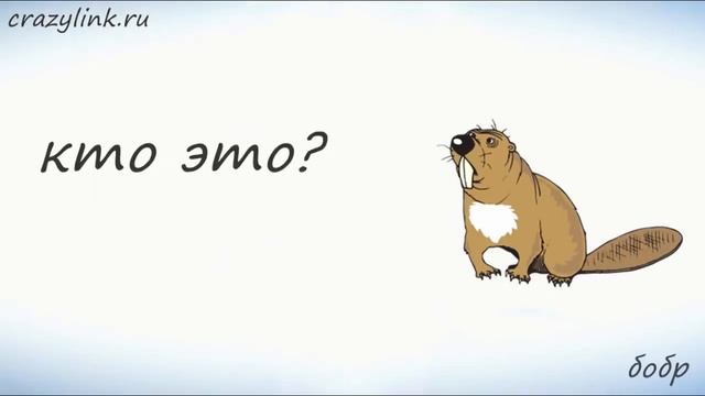 лесные животные