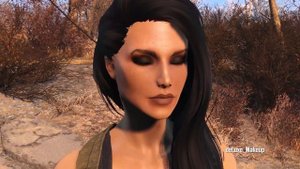 Fallout 4 - Лучшие моды #5