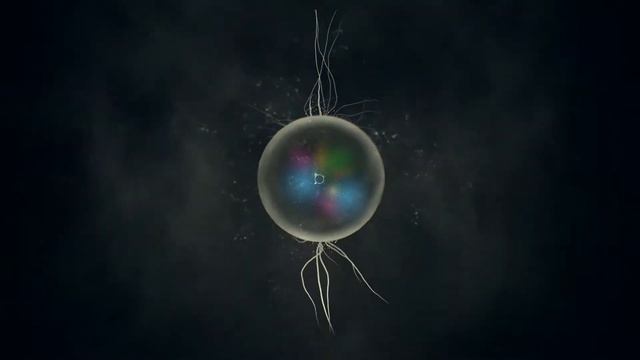 Ростим огромную стаю || Ancestors The Humankind Odyssey || №1 || 🏕️ смотреть онлайн