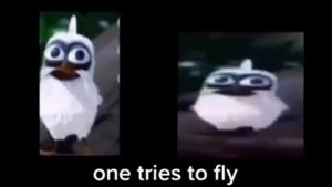 Two birds on a wire