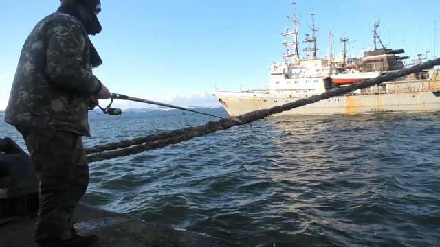 Рыбалка в Баренцевом море - поймали краба на удочку с причала в Североморске