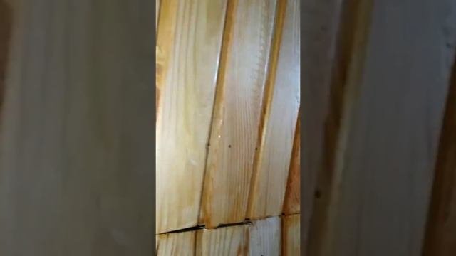 Плиточник от бога .... Продолжение!!
