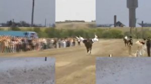 Джигитовка \ Суровикино \ 2009 год