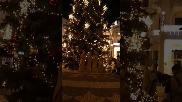 Christmas tree in Bratislava/новогодняя ёлка в Братиславе / vianočný stromček v Bratislave