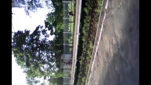 Станция Старый Петергоф