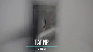 Кайфный Мугам (ЧАН Зи ДУСТ)