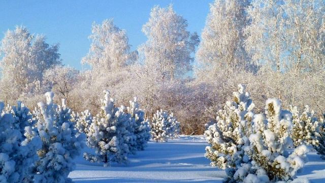 Зима - Для человека самое важное