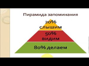 Психология психических процессов