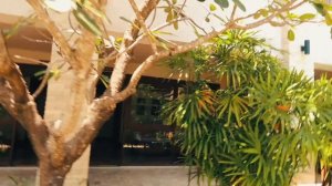 Наш отель Weekender resort   САМУИ викендер