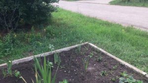 Заливка бетона под тротуарную плитку . День первый Поселок Северный