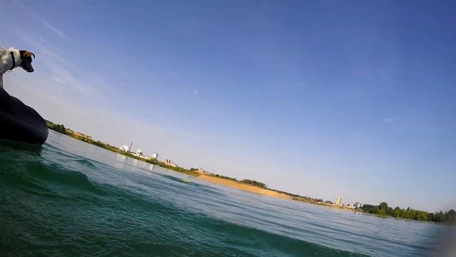 Jack Russell Rocket on the lake