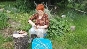 Лозоплетение