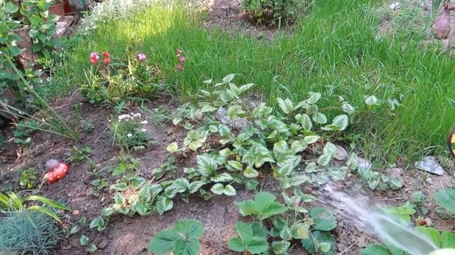 ВЛОГ: Максим сбрил УСЫ! Мой сыночек совсем взрослый смотреть онлайн