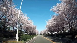 Modern Martina & Korg Style- Beautiful Life