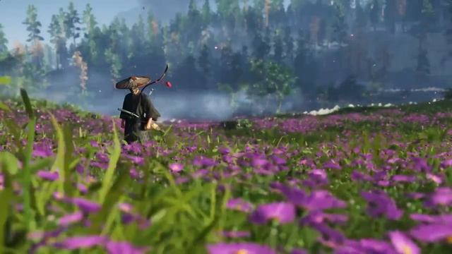 Purple chrysanthemum смотреть онлайн