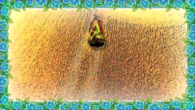 Epiphan Uh - White Swan / Епифан Ух  - Лебедь Белая смотреть онлайн