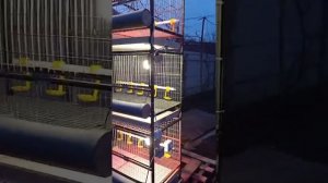 клетка батарея разборная для цыплят несушки перепелов бройлеров индюшат