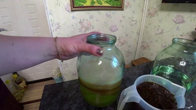 Расскажу за 1 минуту: чайный гриб из зеленого чая или каркадэ