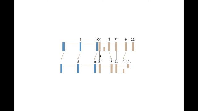 Chord Progression Chunk: m11–M6/9