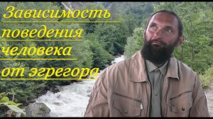 Эгрегор: подчинен ему или управляешь им. Как определить