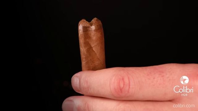 Colibri Quantum смотреть онлайн