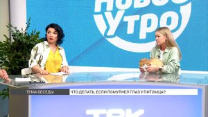 У питомца помутнел глаз