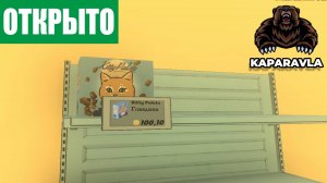 СВОЙ МАГАЗИН С ЖИВОТНЫМИ│Petshopsimulator