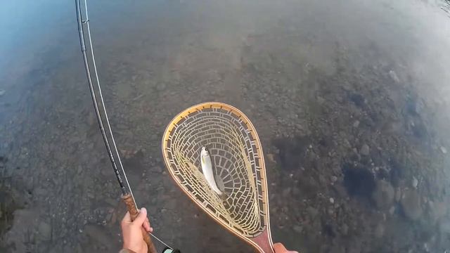 Тестирую 3 нахлыстовые мухи на хариусе смотреть онлайн